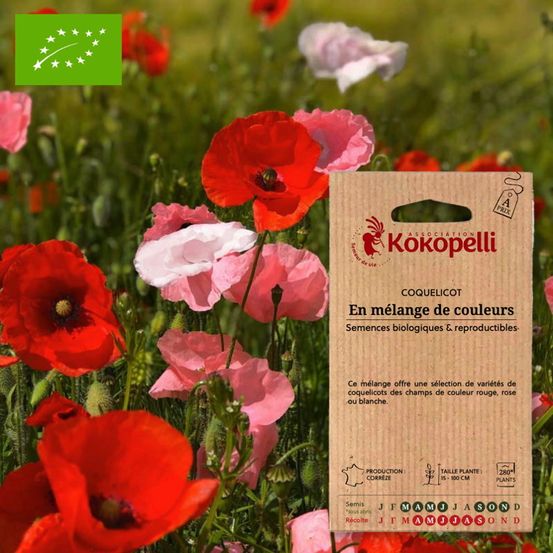 Coquelicot en mélange- graines bio à semer