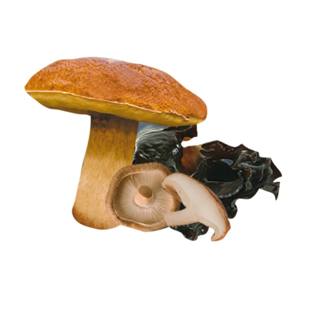 Panier forestier - bocal de 180 g