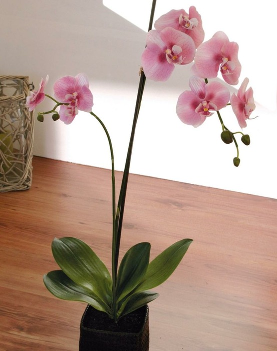 Sublime orchidée artificielle en pot h 75 cm rose-crème - couleur: rose-crème
