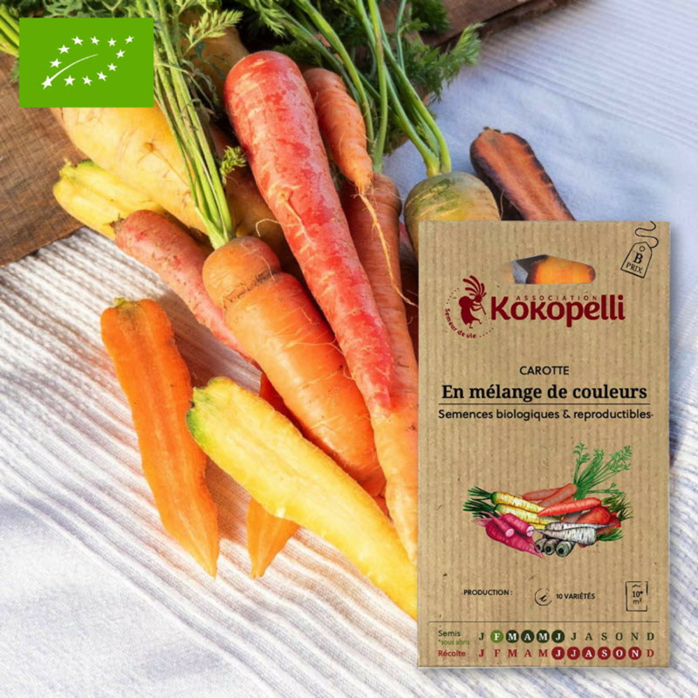 Graines bio à semer - carotte en mélange de couleurs