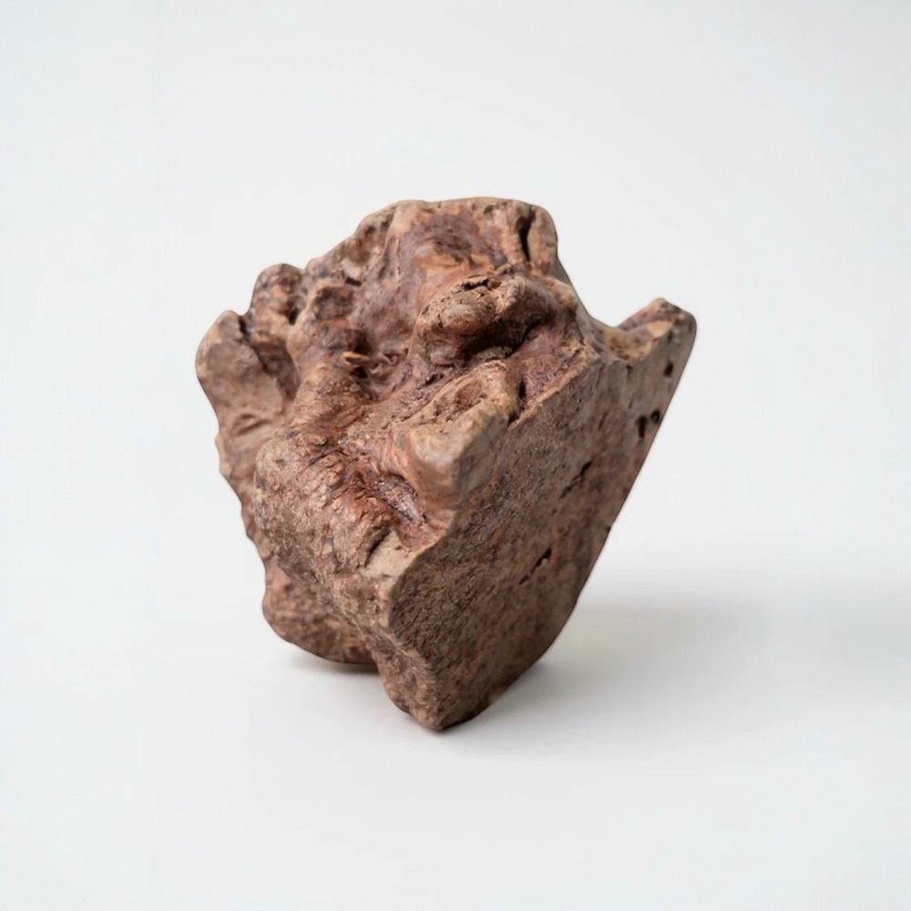 France croquettes - racine de bruyère