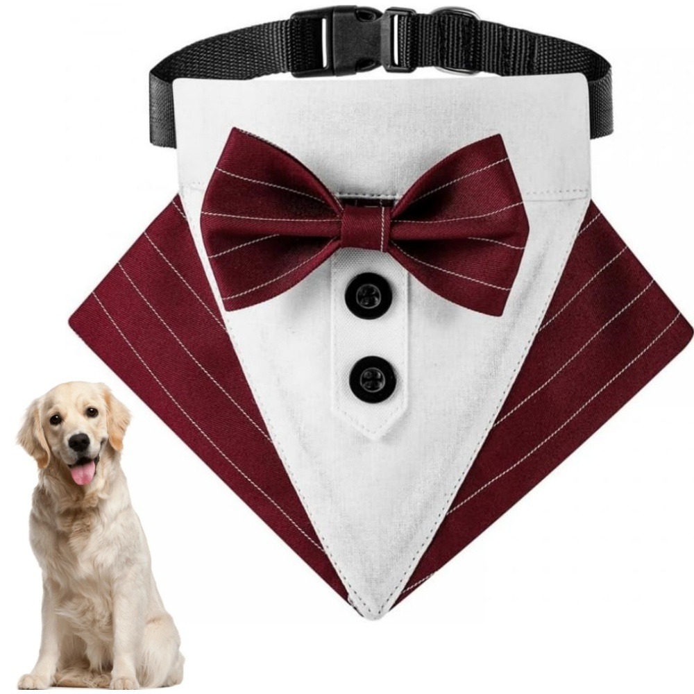 Nœud papillon pour chien