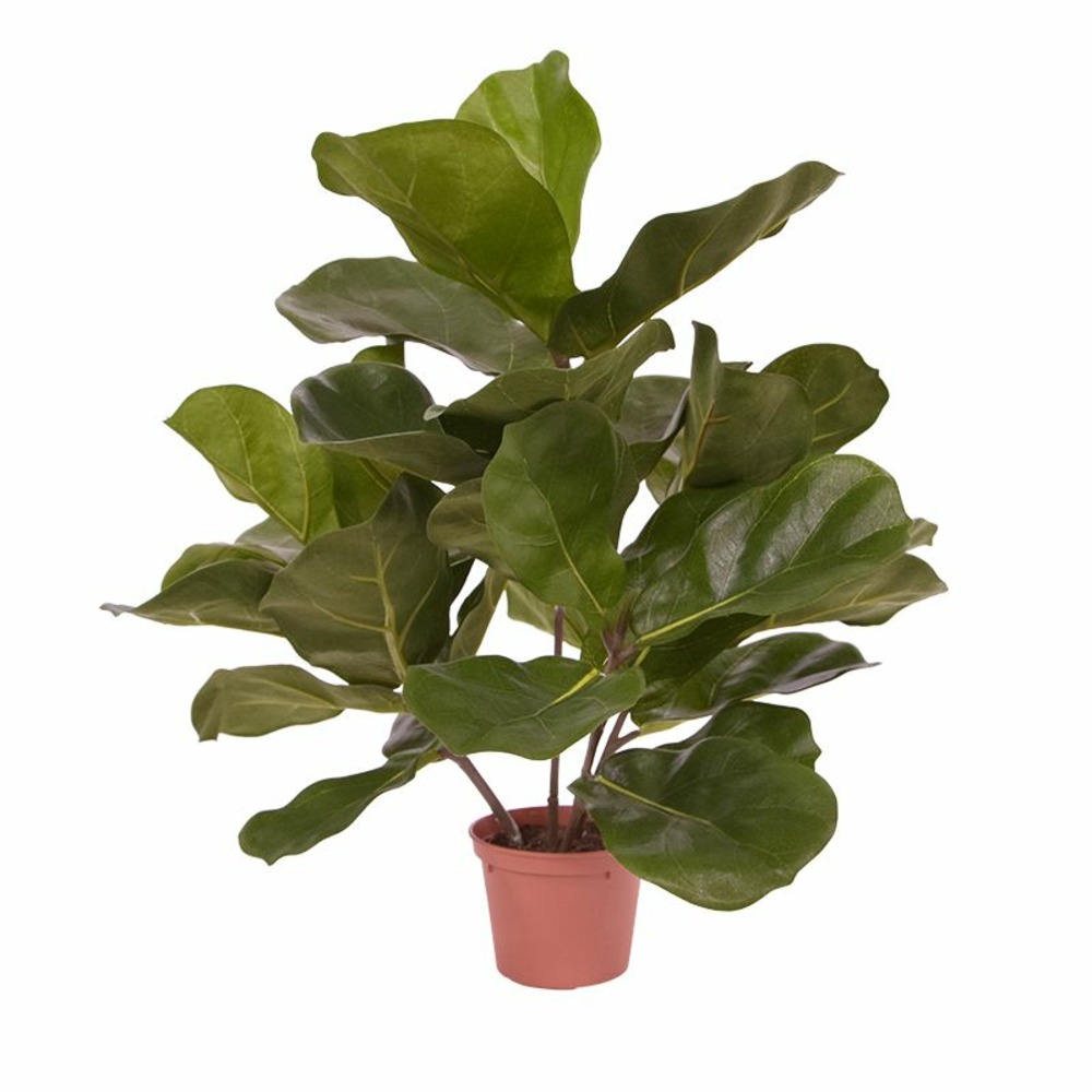 Royal lyrata plante artificielle de 45 cm