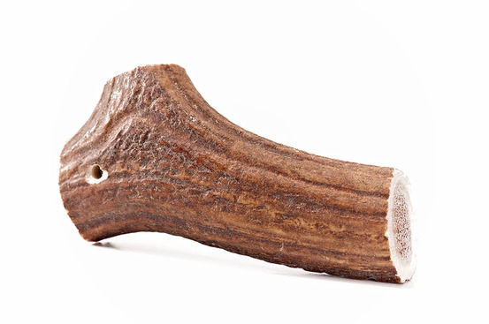 Snack pour chien - bois de cerf l - hirsch-geweihe l - 80g