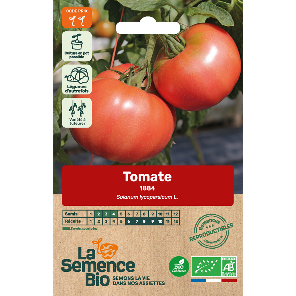 Tomate 1884 - graines bio