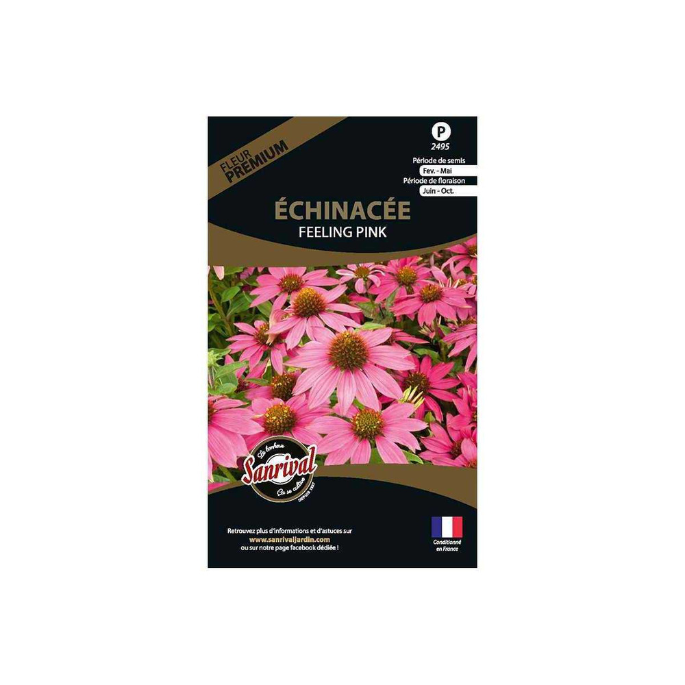 Graines de fleurs premium échinacée feeling pink annuelle