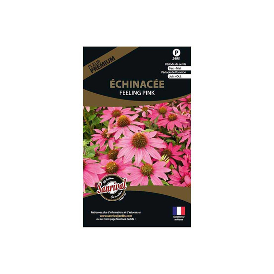 Graines de fleurs premium échinacée feeling pink annuelle