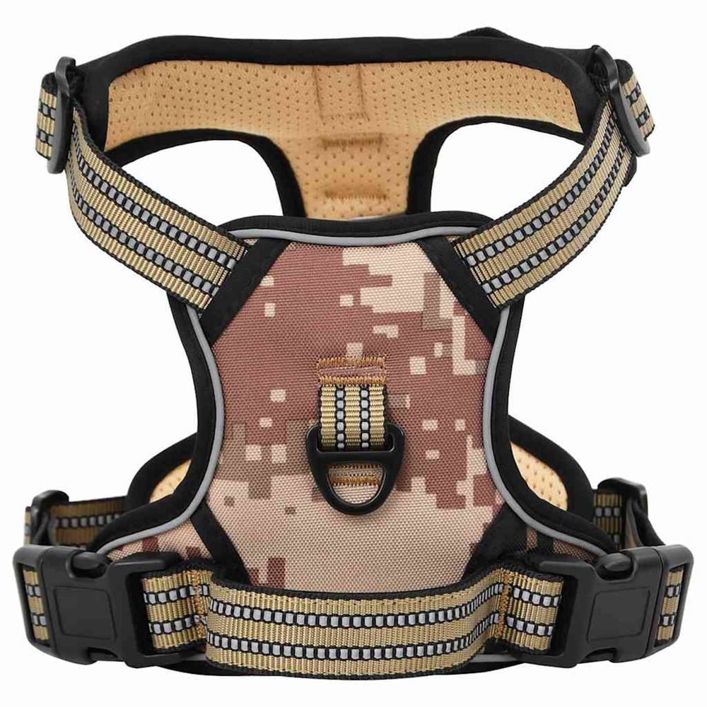 Harnais pour chien avec laisse et collier réglables m