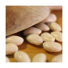 Graines de haricot nain à écosser coco blanc/phaseolus vulgaris nain à écosser coco blanc[-]sachet de 15 gr.