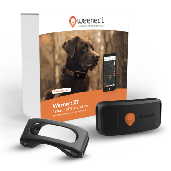 Weenect xt - traceur gps pour chien