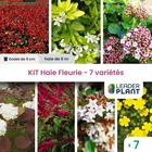 Kit haie fleurie 7 variétés - lot de 7 plants en godet