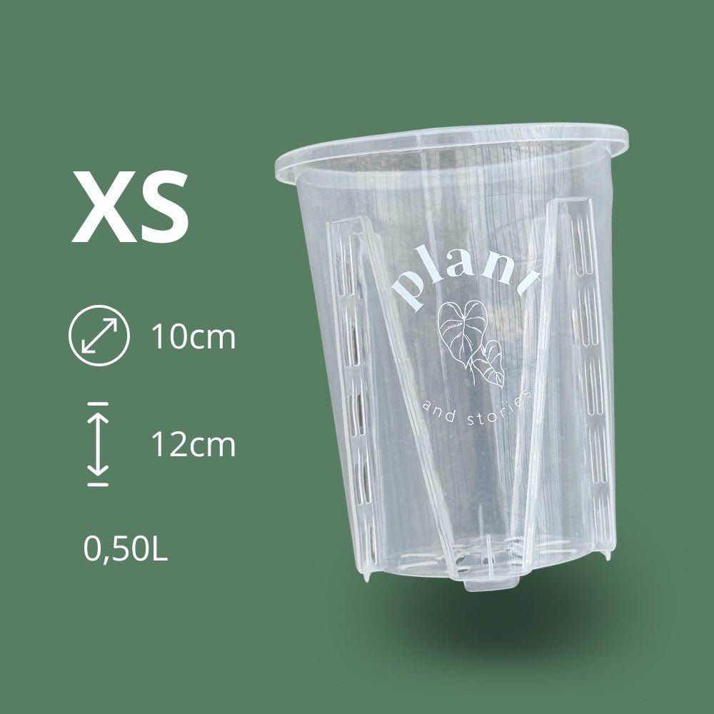 Pot aracées transparent - pot de culture transparent pour plantes - pot de 10cm - x5 unités