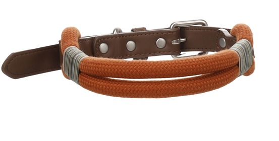 Chien collier athos cognac