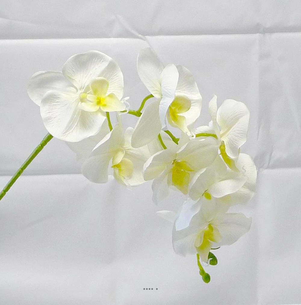 Orchidée tao factice h105 cm 8 fleurons 5 boutons qualité pro crème - couleur: c