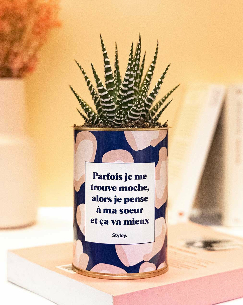 Plante personnalisée - soeur moche - cactus