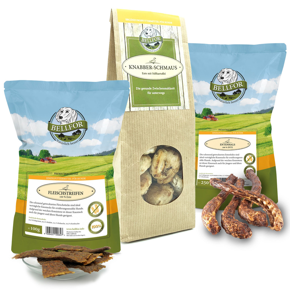 Healthy friandises pour chiens au canard