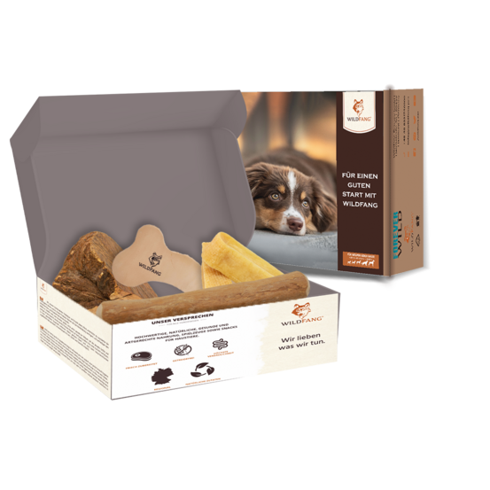 Wildfang - coffret « égaré » - s