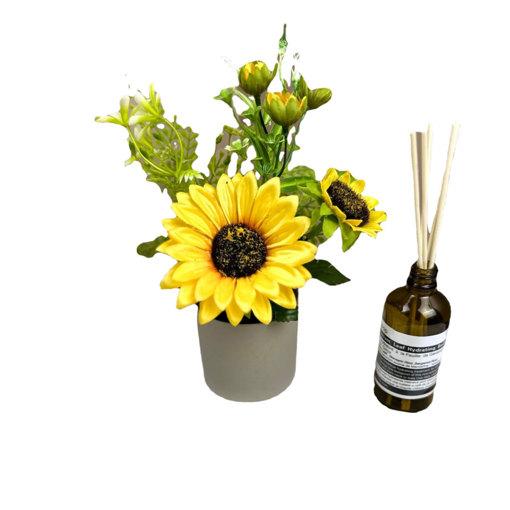 Tournesol artificiel de haute qualité de type b