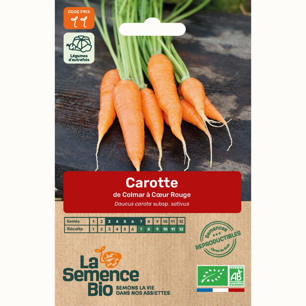 Carotte de colmar à c ur rouge 2 - graines bio