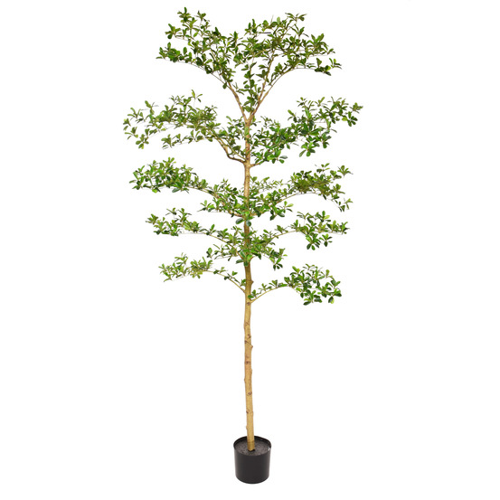 Bucida buceras artificiel 210cm nt vert