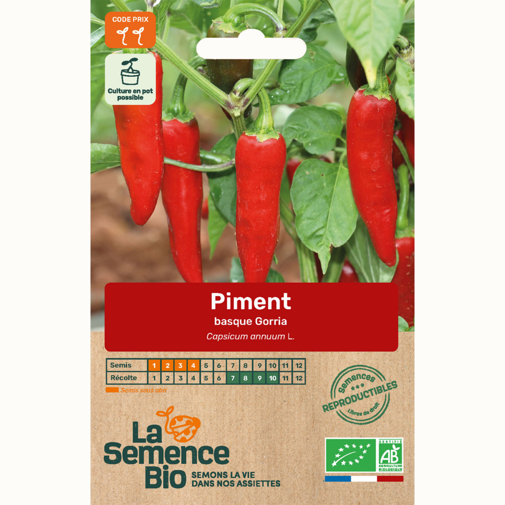Piment gorria - graines bio