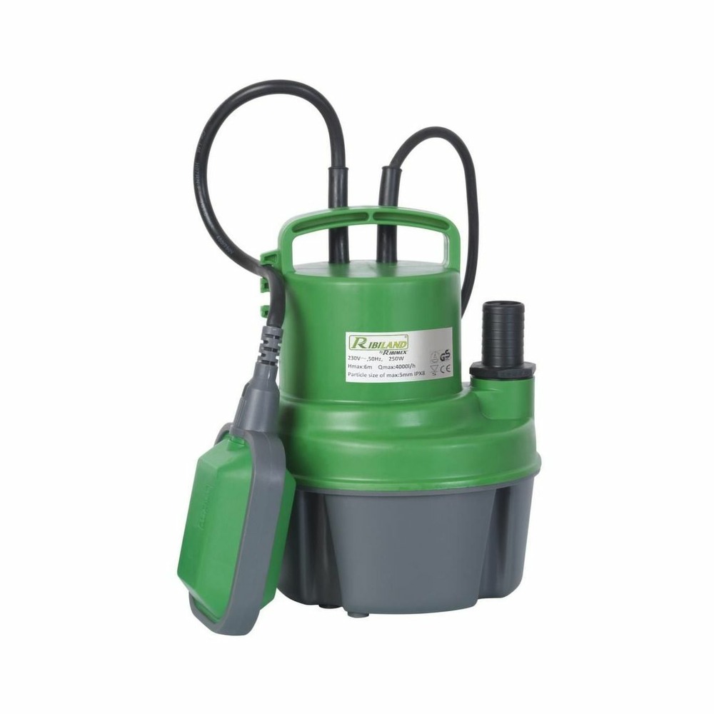 Pompe vide cave eaux claires 250w