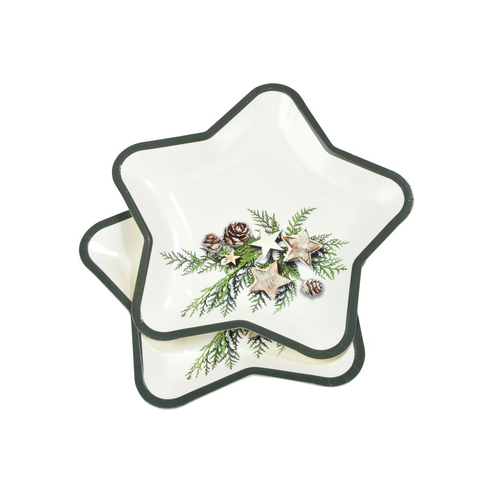 6 assiettes etoile en carton pommes de pin