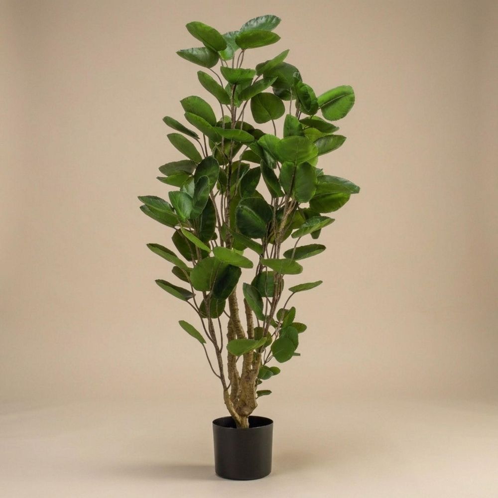 Polyscias - ø15cm - plante artificielle