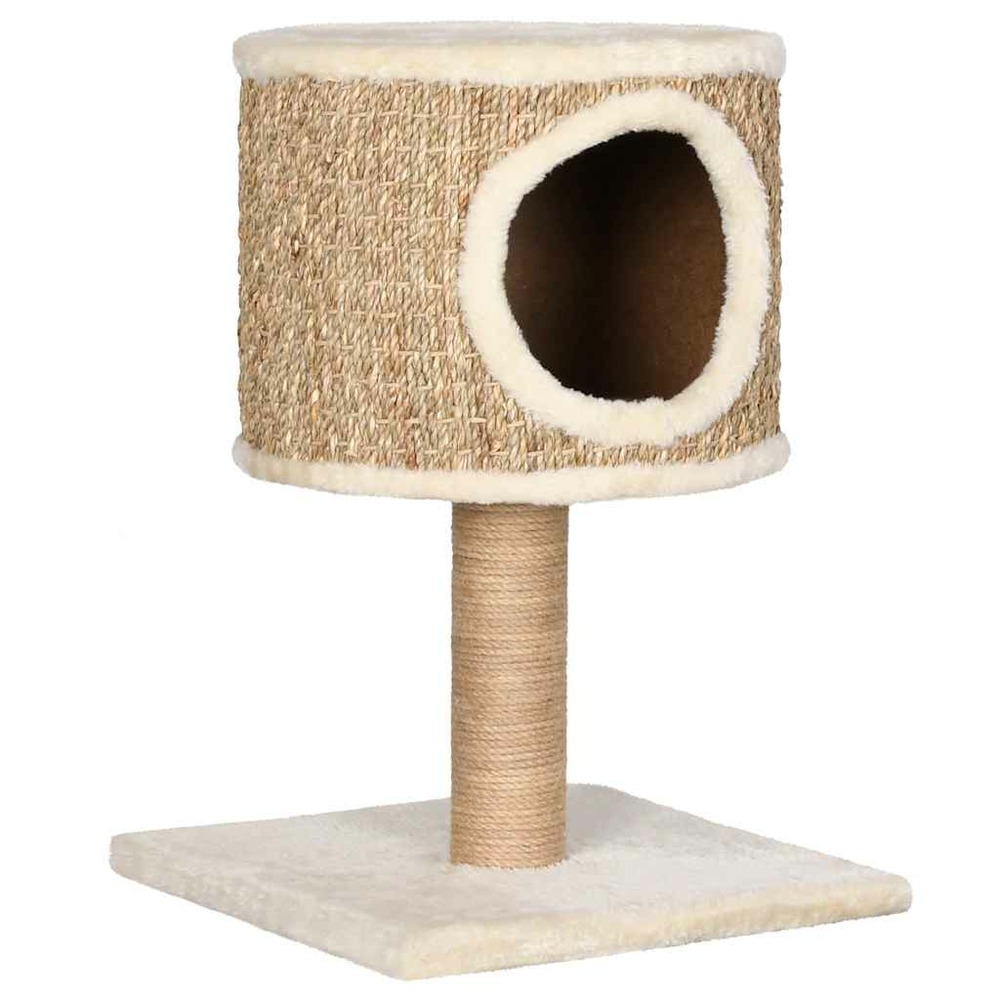 Arbre à chat avec appartement et griffoir 52 cm herbiers marins