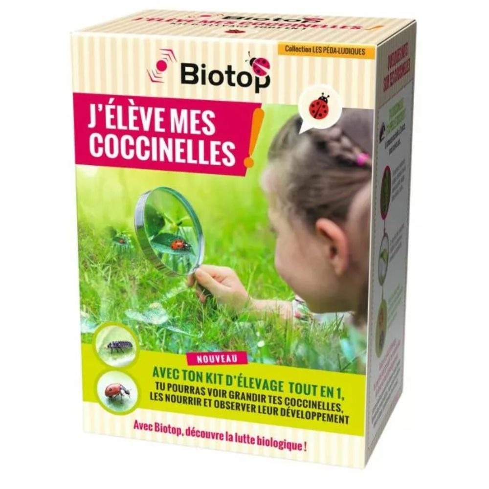 Kit d'élevage de coccinelles - larves incluses
