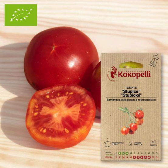 Tomate stupice- graines bio à semer