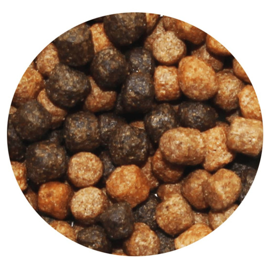 Nourriture pour poissons heiko koi colour menu 6 mm 3 l