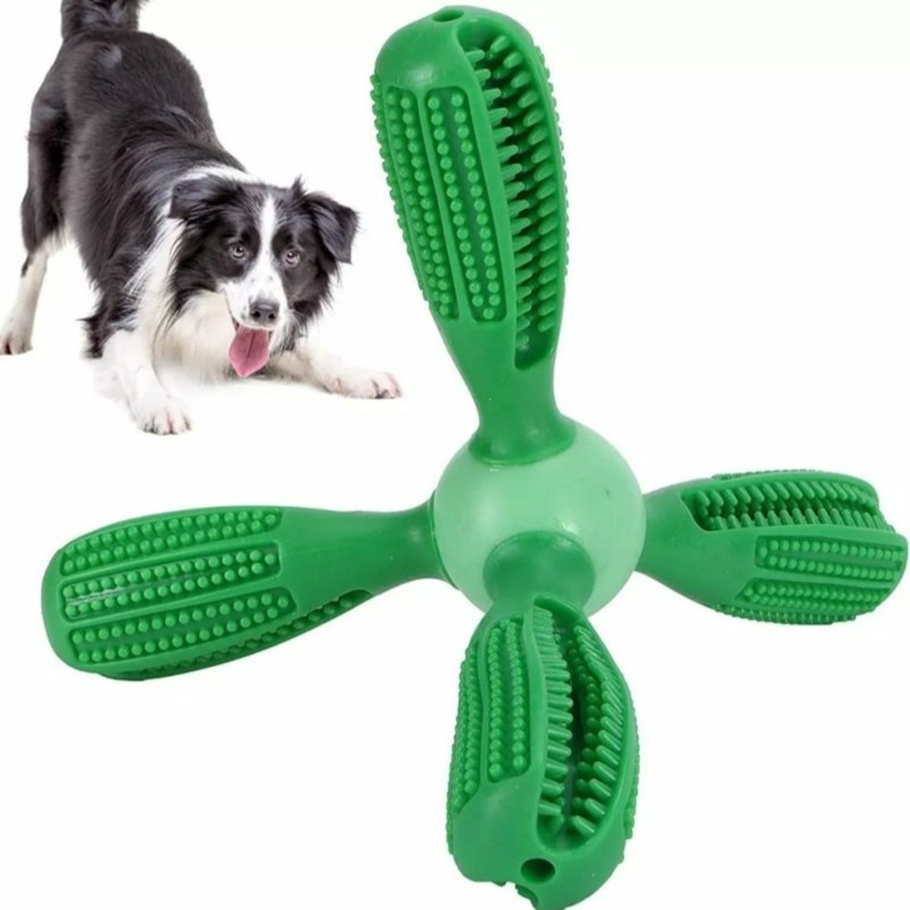 Jouets pour le soin des dents des chiens dtopbuyage