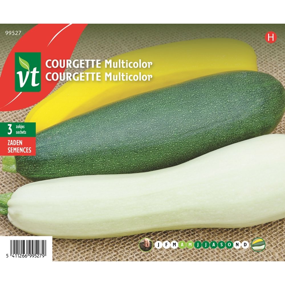 Set de semences courgette multicolor - ca. 3x 6 graines | Truffaut
