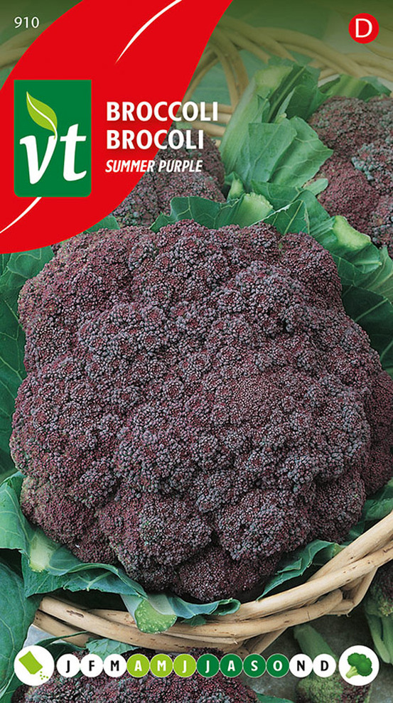 Broccolli summer purple - ca. 1 gr (livraison gratuite)