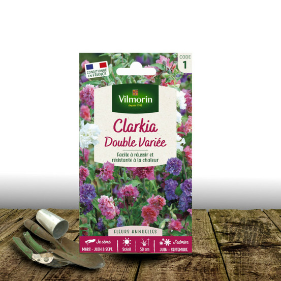 Graines de clarkia elegans double en mélange - vilmorin sachet