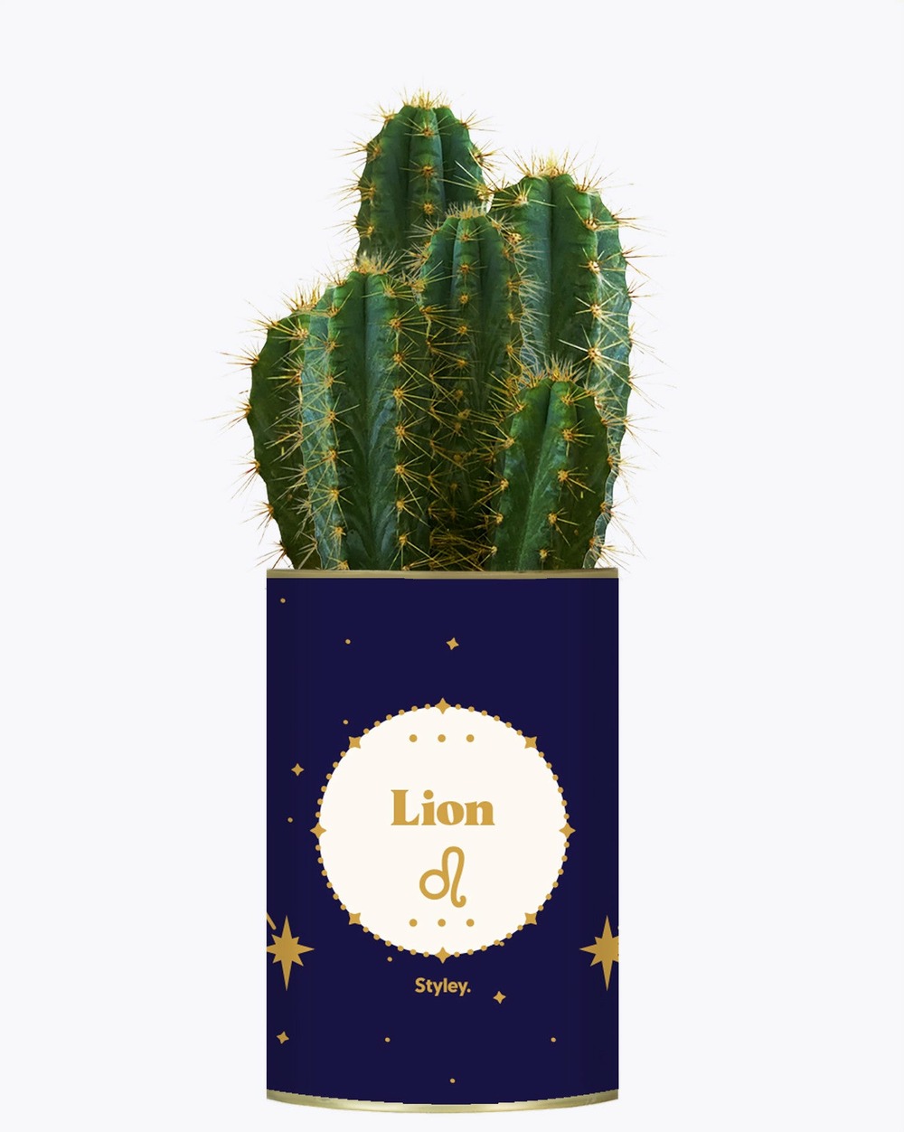 Idée cadeau - astrologie - plante zodiac