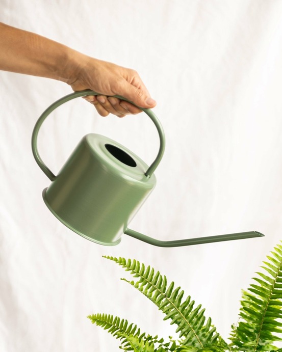 Arrosoir vert