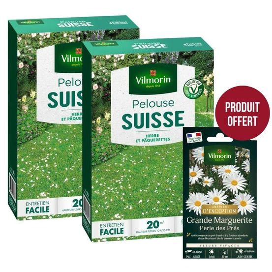 Pelouse suisse - paquerettes (x2) + grande marguerite perle des prés offerte