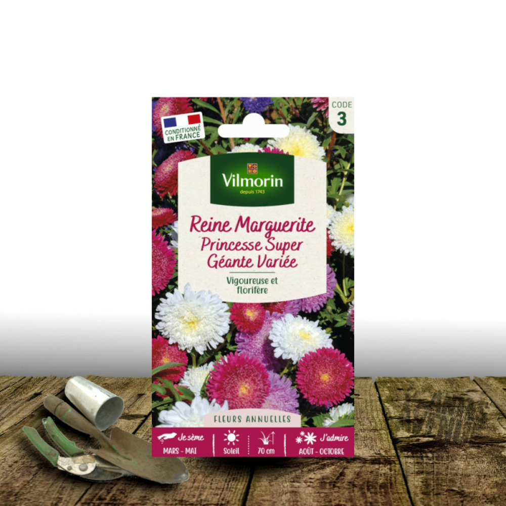 Graines de reine marguerite princesse super géante variée - vilmorin sachet