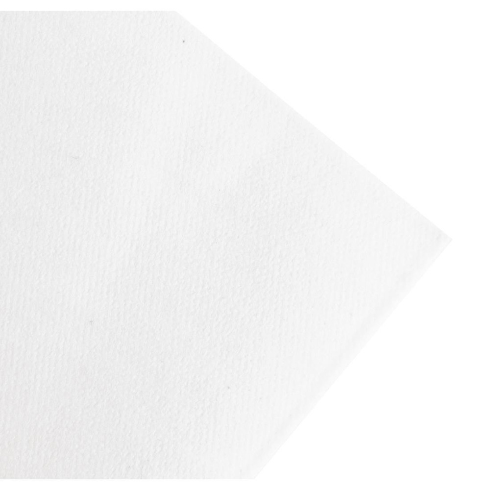 Serviettes en papier ouate blanches compostables 480 mm - lot de 360 - duni
