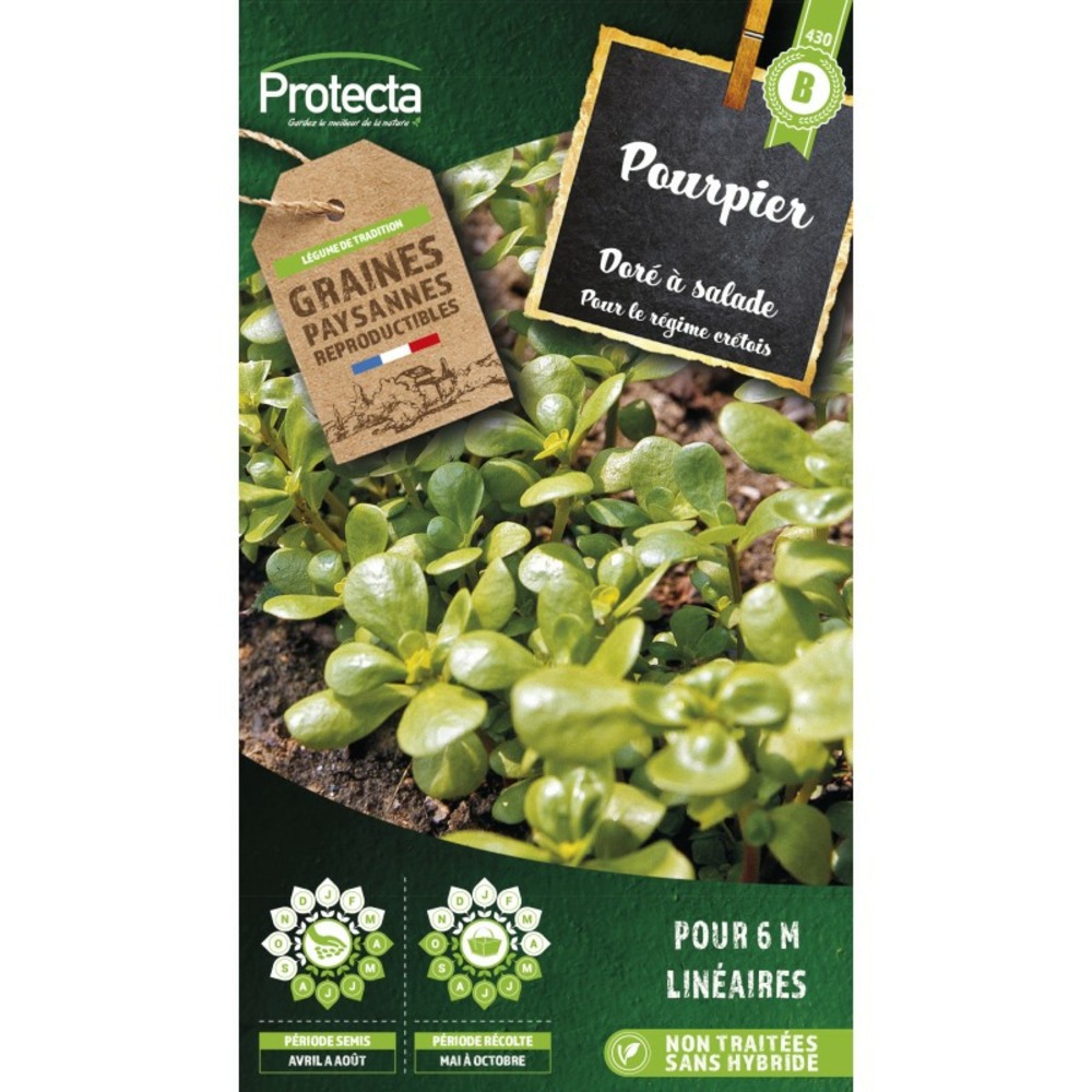Graines paysannes - pourpier doré à salade