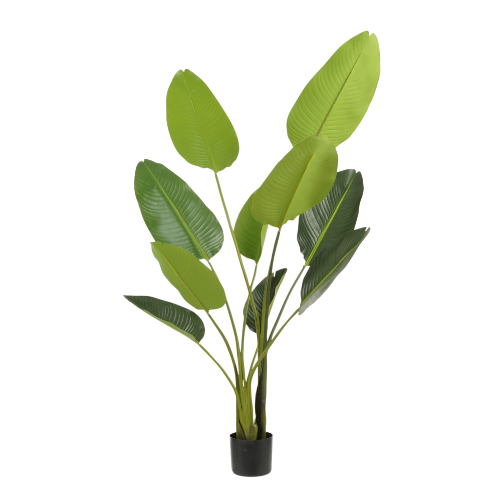 Plante Artificielle Mica Croton Bariolé 73cm Avec Pot Vert Et Billes - Déco Intérieur
