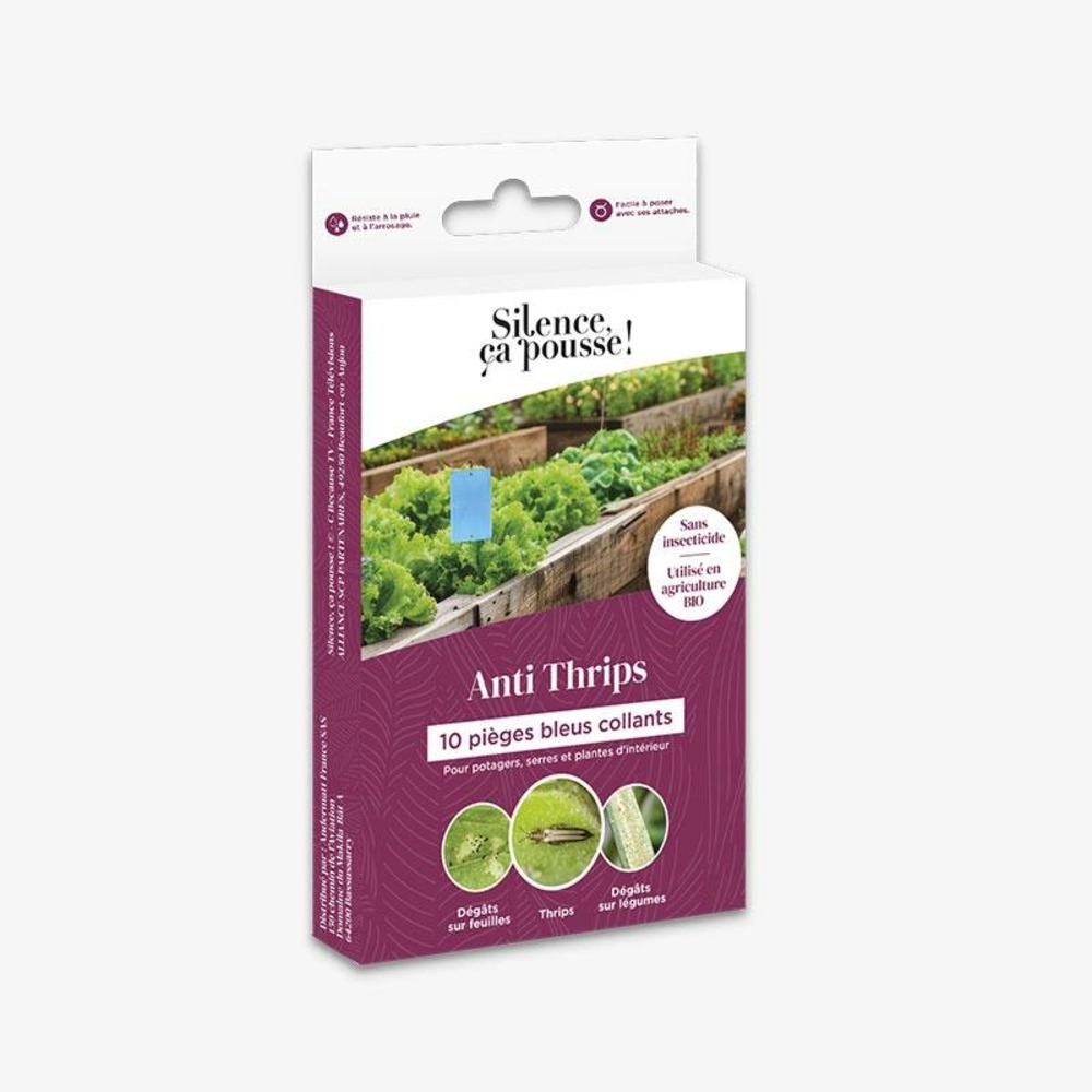10 pièges bleus collants