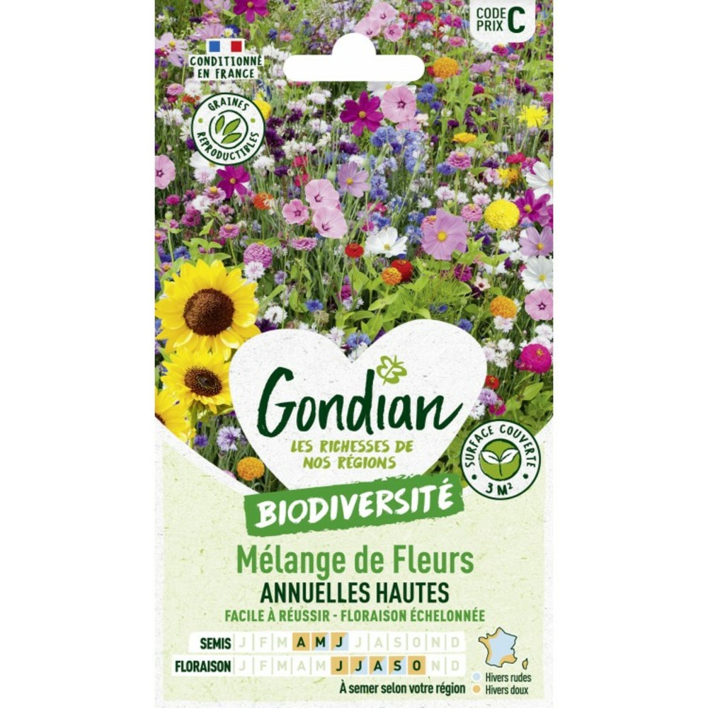 Melange de fleurs annuelles hautes