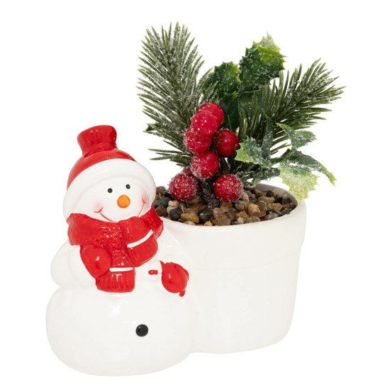 Plante pot pn bn h13 ass2