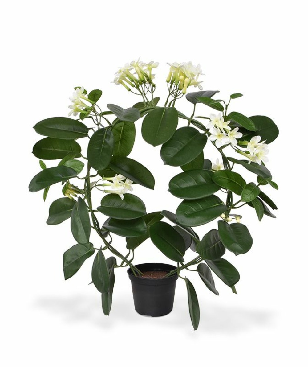 Stephanotis plante artificielle de 40 cm