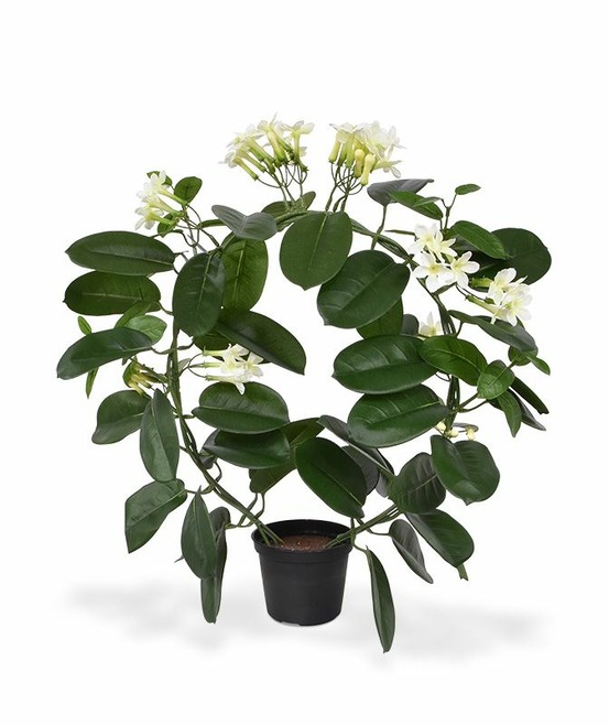 Stephanotis plante artificielle de 40 cm