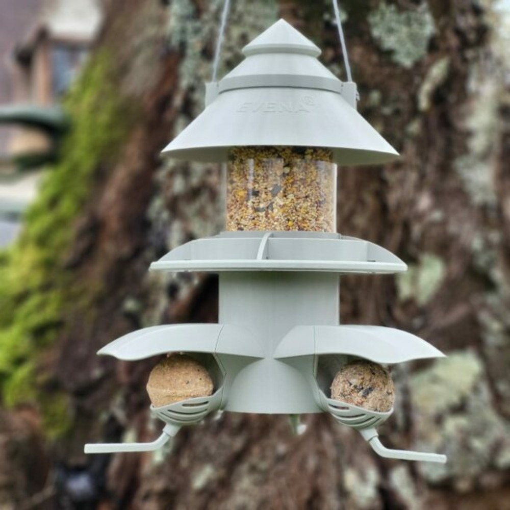 Sitemapcdatahttpsmodeinf Inetcommangeoire Oiseaux Truffaut