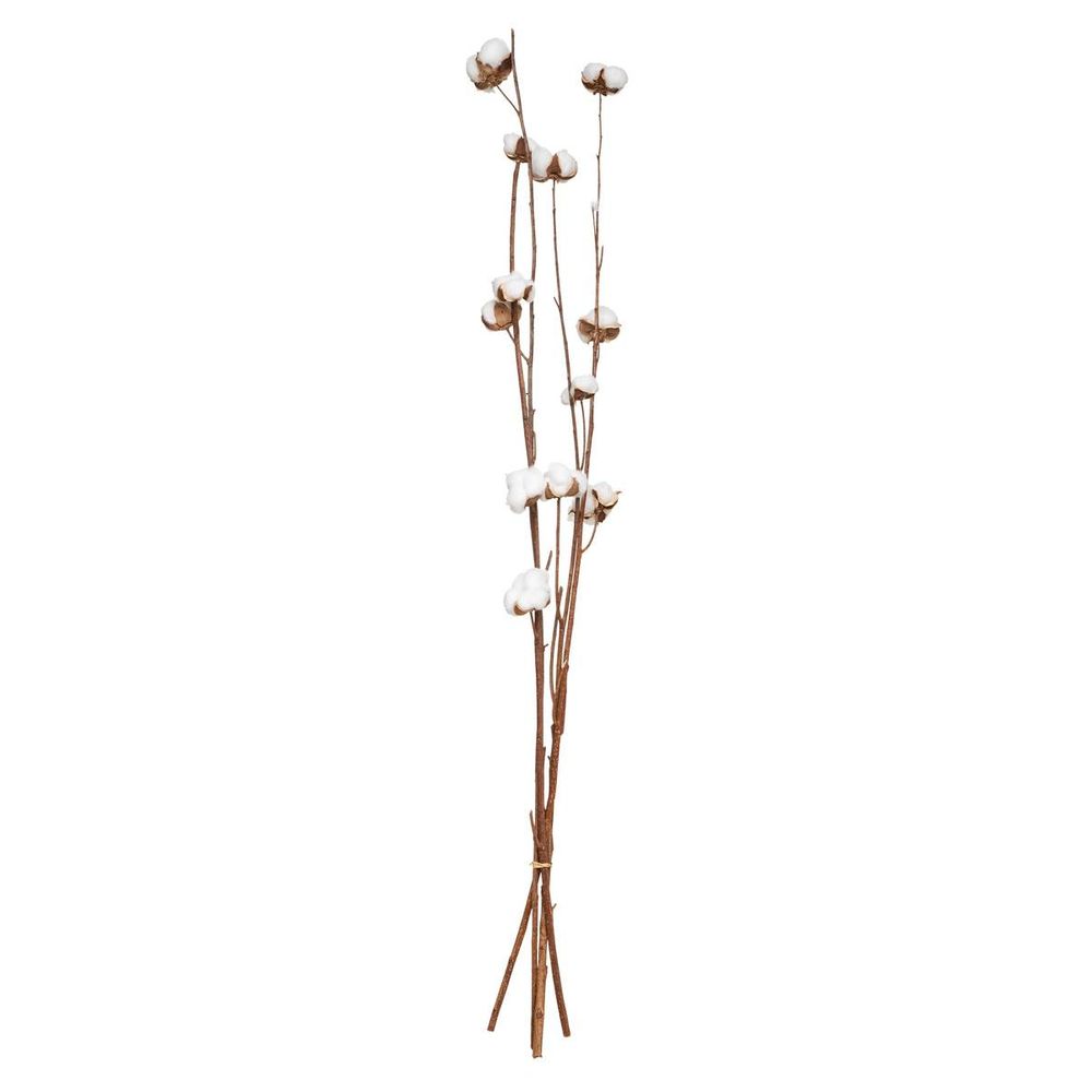 Fleurs séchées naturelles h100 cm